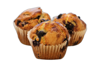 Blueberry Muffin
